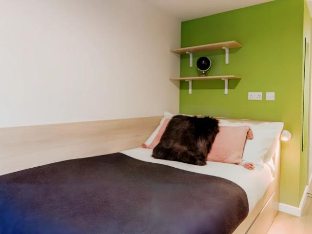 Room for rent in Durham