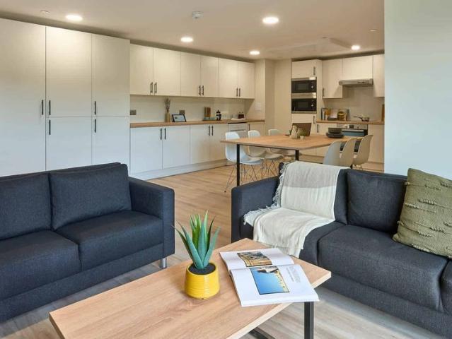 Room for rent in Lansdowne, Springbourne