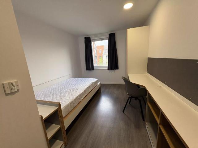 Room for rent in Little Woodhouse, Leeds
