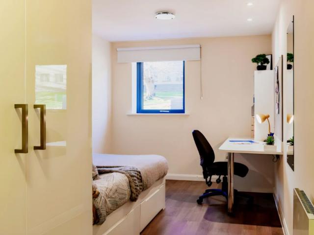 Room for rent in Garth, Bangor
