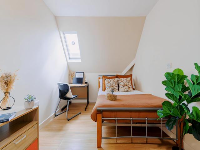 Room for rent in The Meadows, Haddon