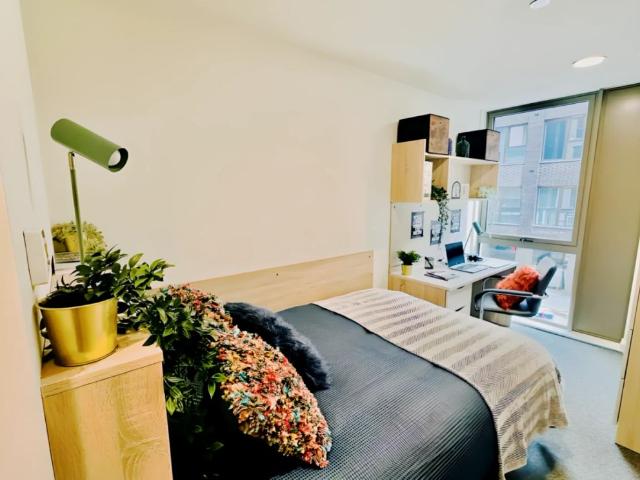 Room for rent in The Meadows, Haddon