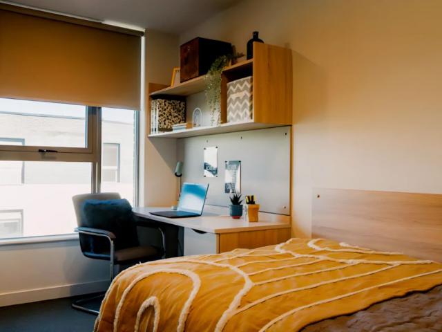 Room for rent in The Meadows, Haddon