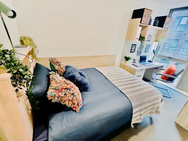 Room for rent in The Meadows, Haddon