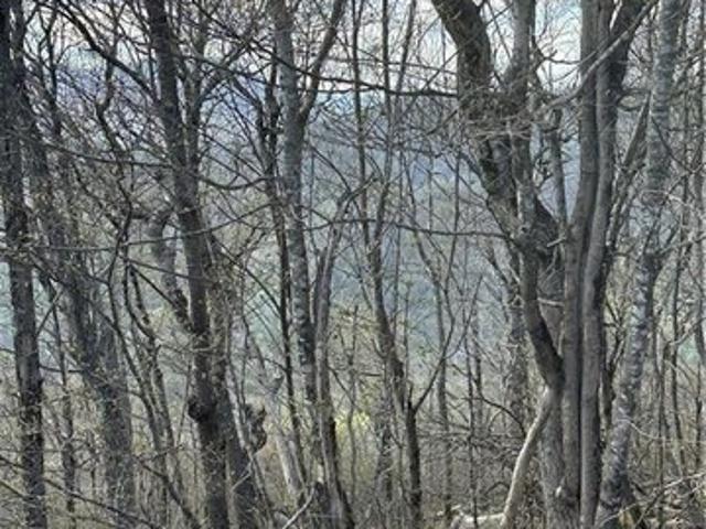 Land for sale in Blowing Rock, Watauga County