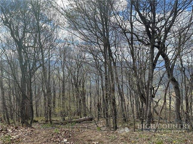 Land for sale in Blowing Rock, Watauga County