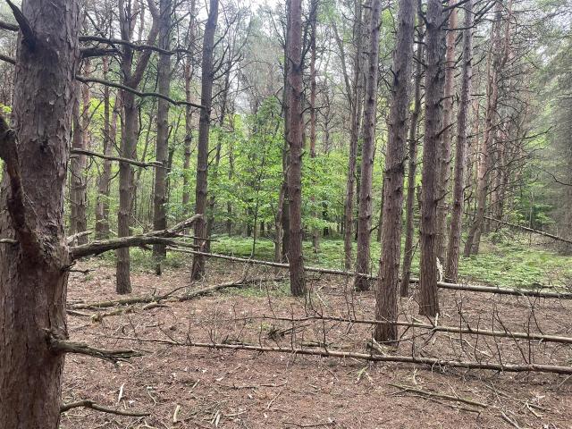 Land for sale in Shelby