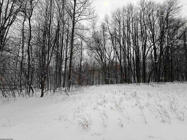 Land for sale in Belington, West Virginia