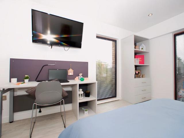 Studio for rent in Newtown, Two Mills