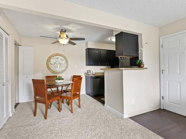 Apartment for rent in Lakewood, Colorado