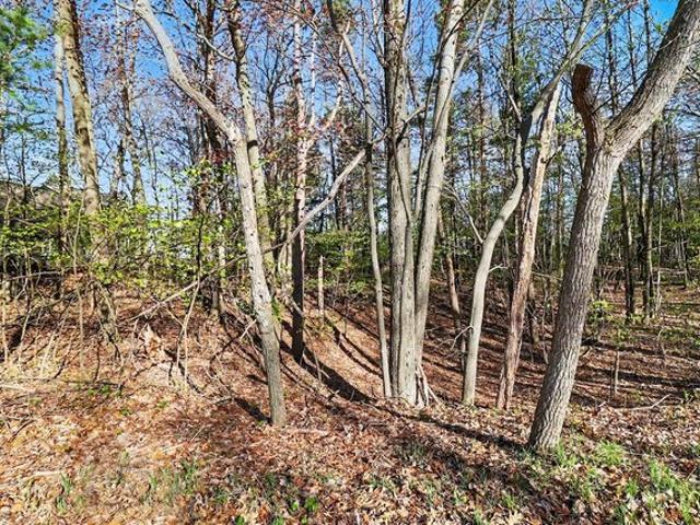 Land for sale in Mears, Michigan