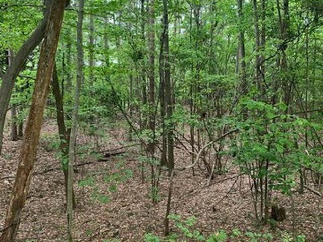 Land for sale in Mears, Golden Township