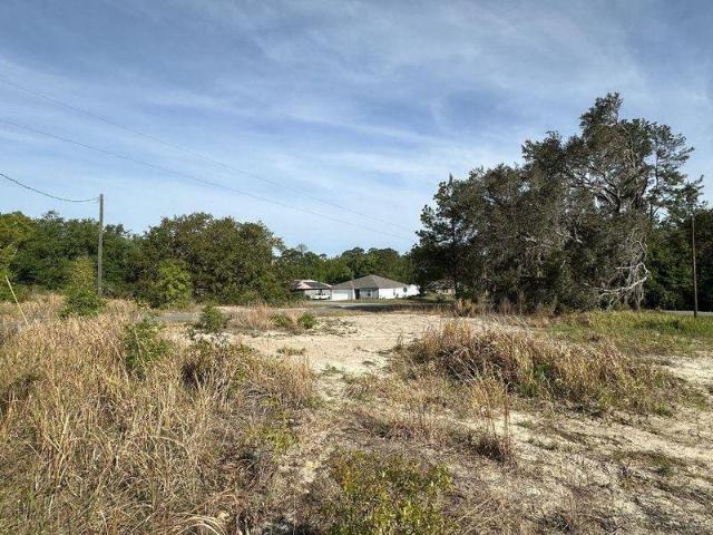 Land for sale in Florida