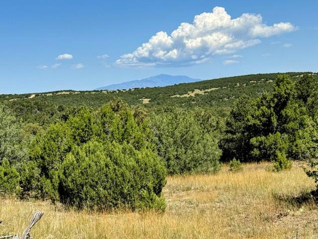 Land for sale in Walsenburg, Huerfano County