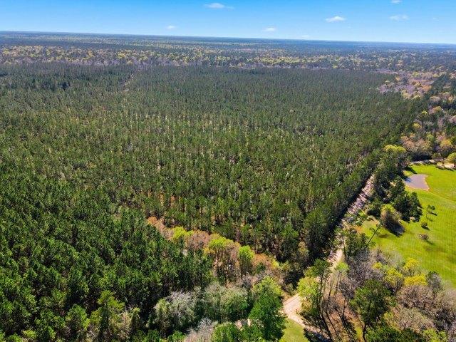 Land for sale in Sour Lake, Texas