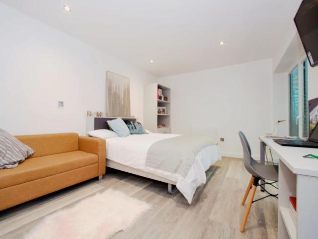 Studio for rent in The Meadows, Haddon