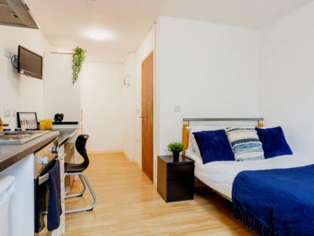 Studio for rent in The Meadows, Haddon