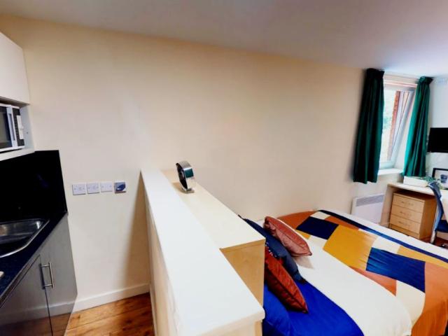Studio for rent in Upper Bangor, Bangor