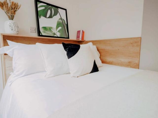 Studio for rent in City Centre, South Yorkshire