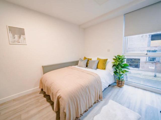 Studio for rent in Plungington, Higher Bartle