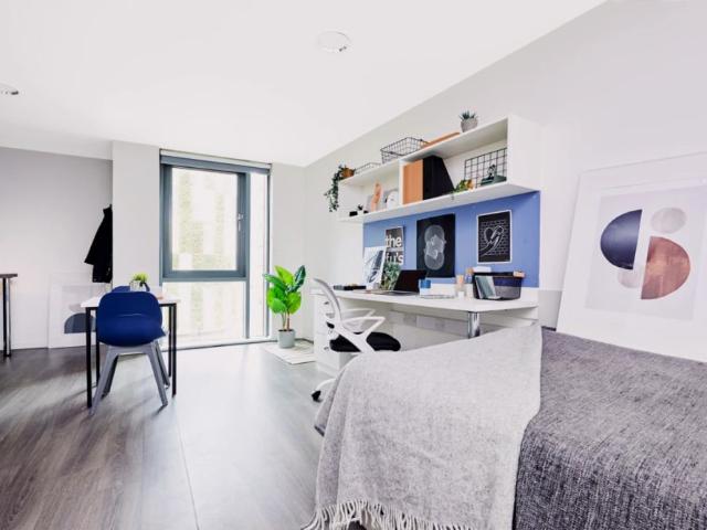 Studio for rent in Newtown, Two Mills