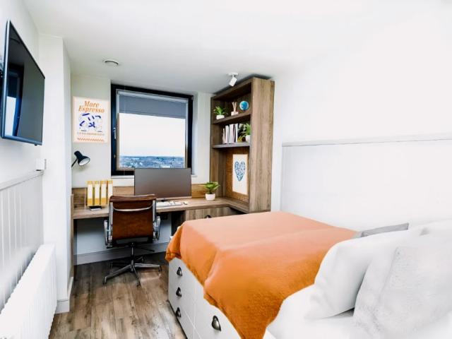 Studio for rent in Plasnewydd, Falcon Lodge