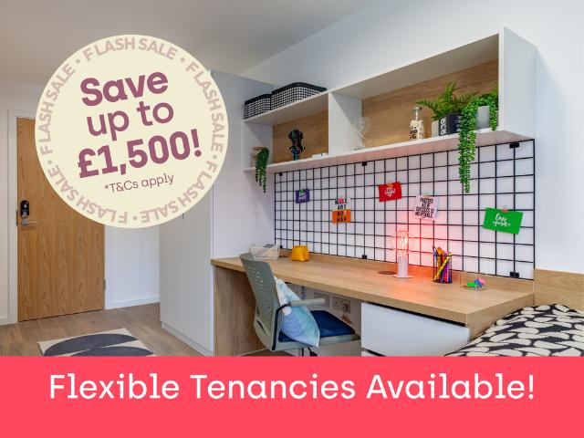 Apartment for rent in Waun-wen, Nangreaves