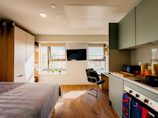 Studio for rent in The Meadows, Haddon