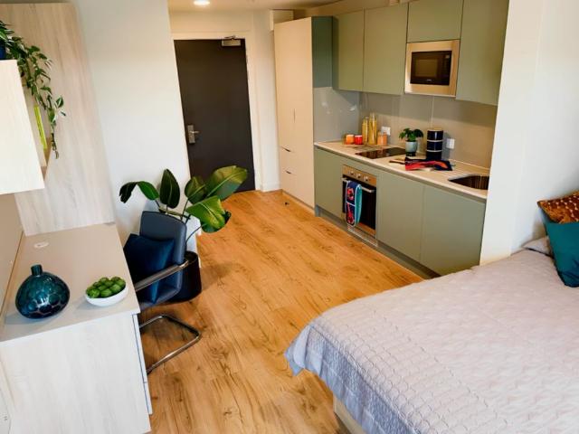 Studio for rent in The Meadows, Haddon