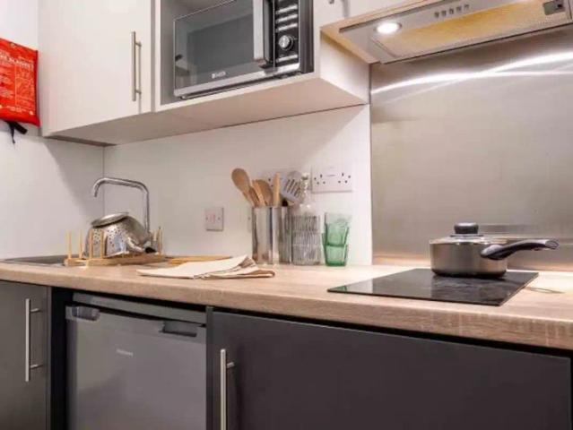 Studio for rent in Greater London