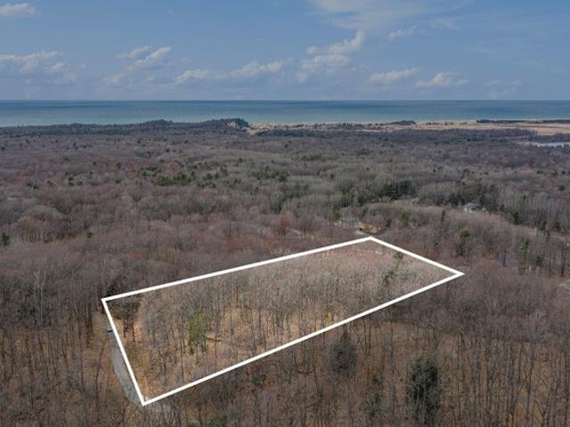 Land for sale in Mears, Michigan