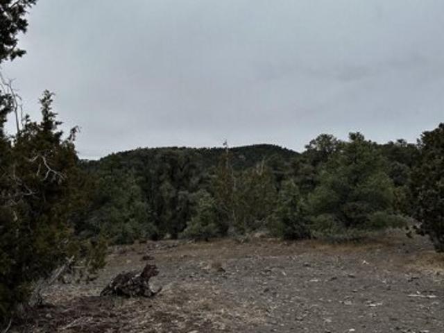 Land for sale in Reno Land for sale in Reno