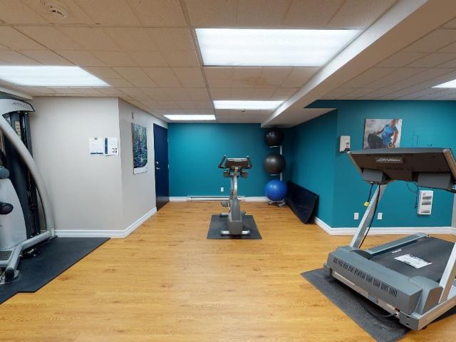 Apartment for rent in Guelph, Ontario
