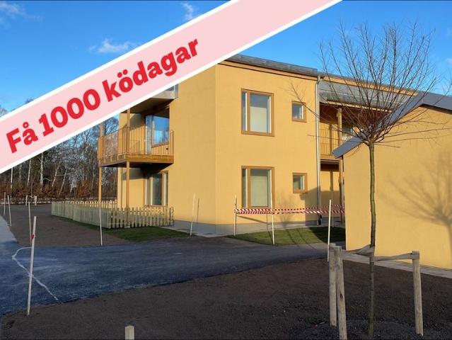 Lägenhet hyra i Hemse, Gotland