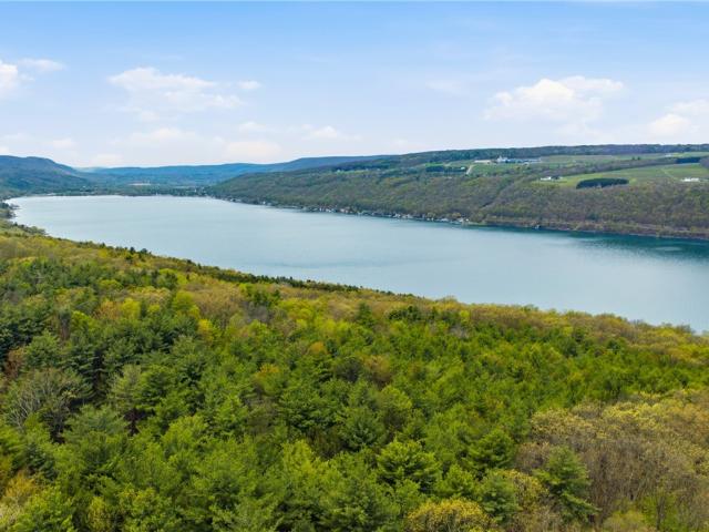 Land for sale in New York
