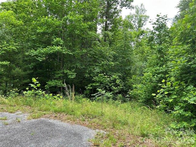 Land for sale in Hendersonville, North Carolina