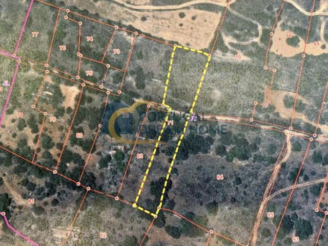 Terreno venda em São Bartolomeu De Messines, Faro