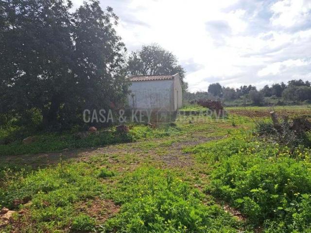 Terreno venda em São Bartolomeu De Messines, Faro