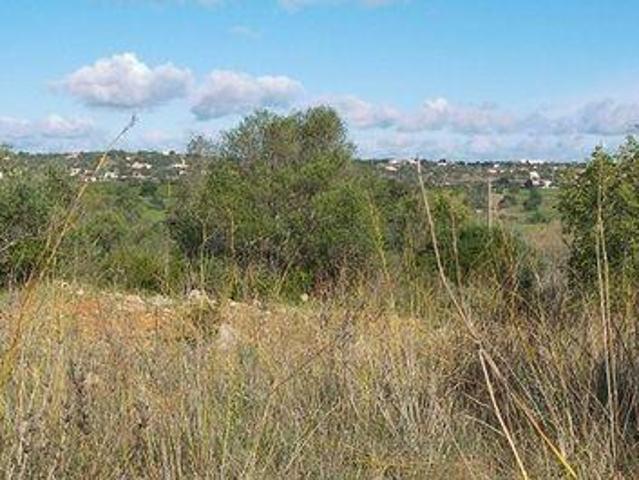 Terreno venda em Silves, Faro