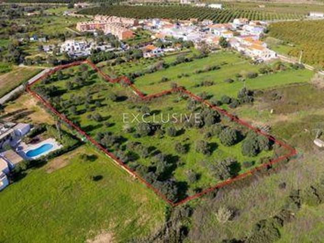 Terreno venda em Silves, Faro