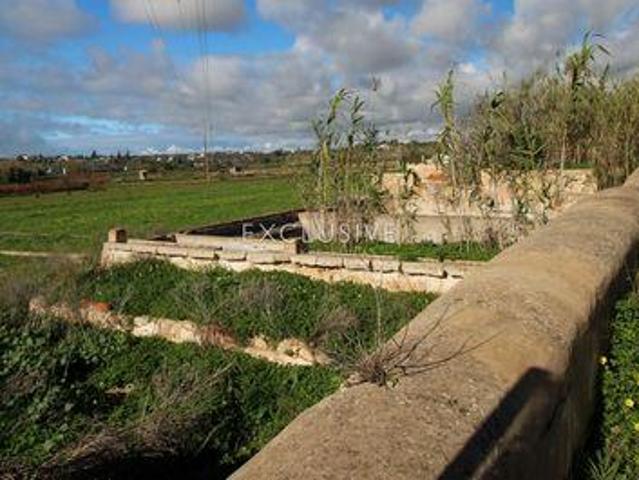 Terreno venda em Silves, Faro