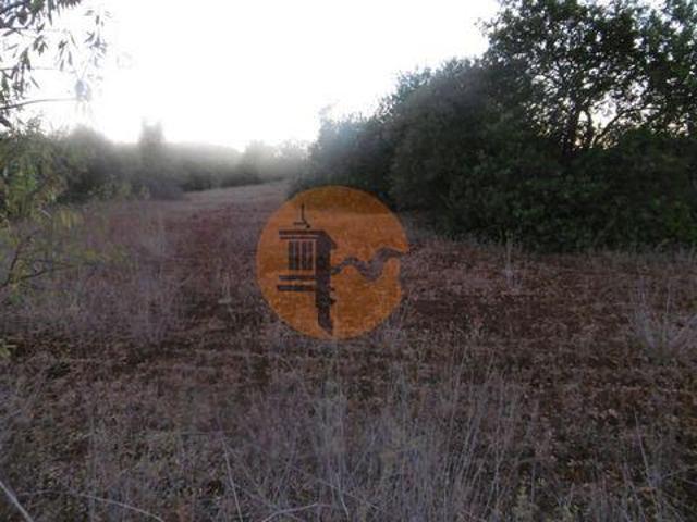 Terreno venda em São Bartolomeu De Messines, Faro