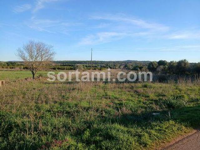 Terreno venda em Mourição, São Bartolomeu De Messines