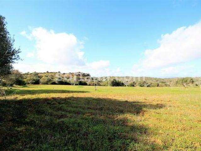 Terreno venda em Vales de Pera, Albufeira