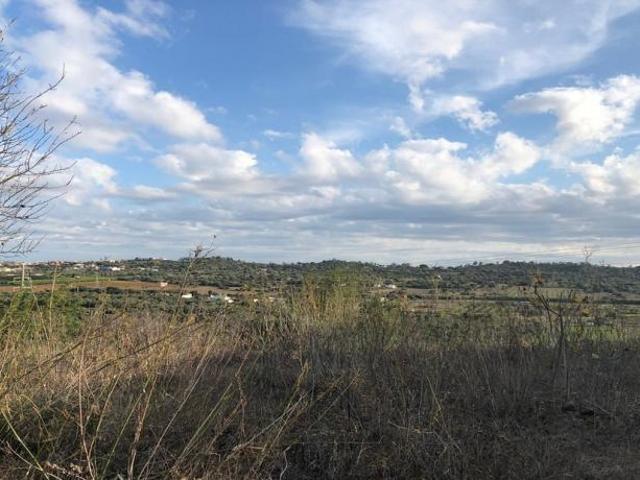 Terreno venda em Silves, Faro