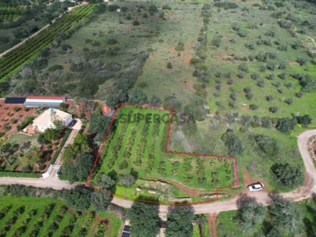 Terreno venda em Mogas, São Bartolomeu De Messines