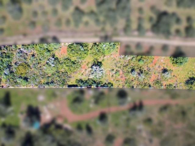 Terreno venda em Silves, Faro