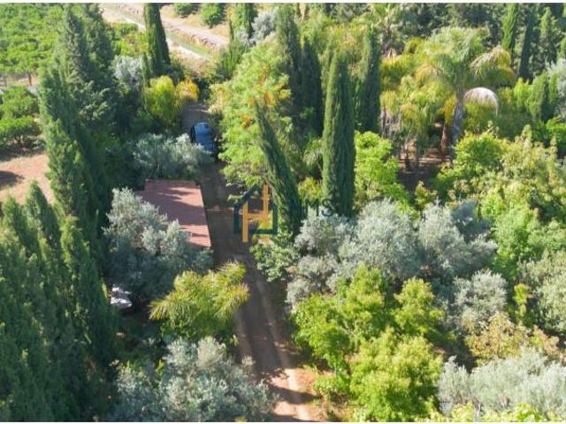 Terreno venda em Silves, Faro