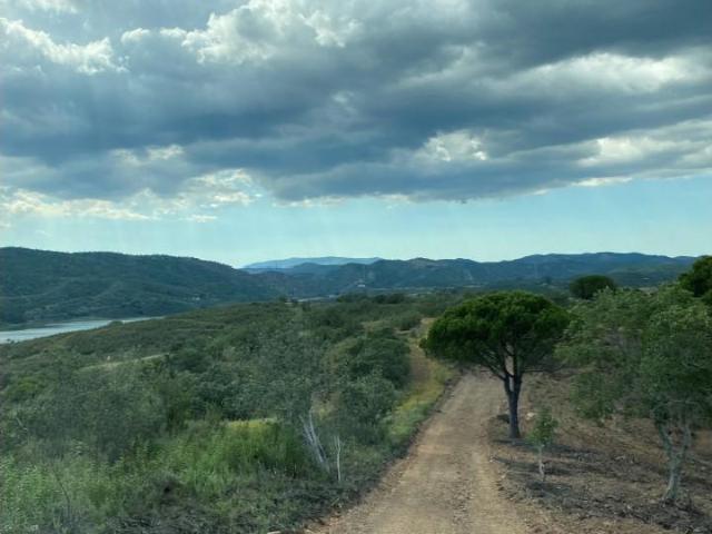Terreno venda em Silves, Faro