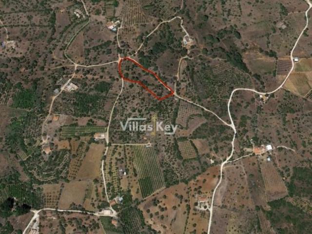 Terreno venda em Silves, Faro